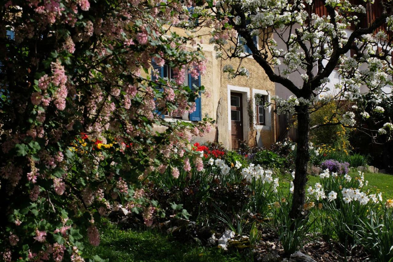 Bed and Breakfast La Foyere La Plagne Exterior foto